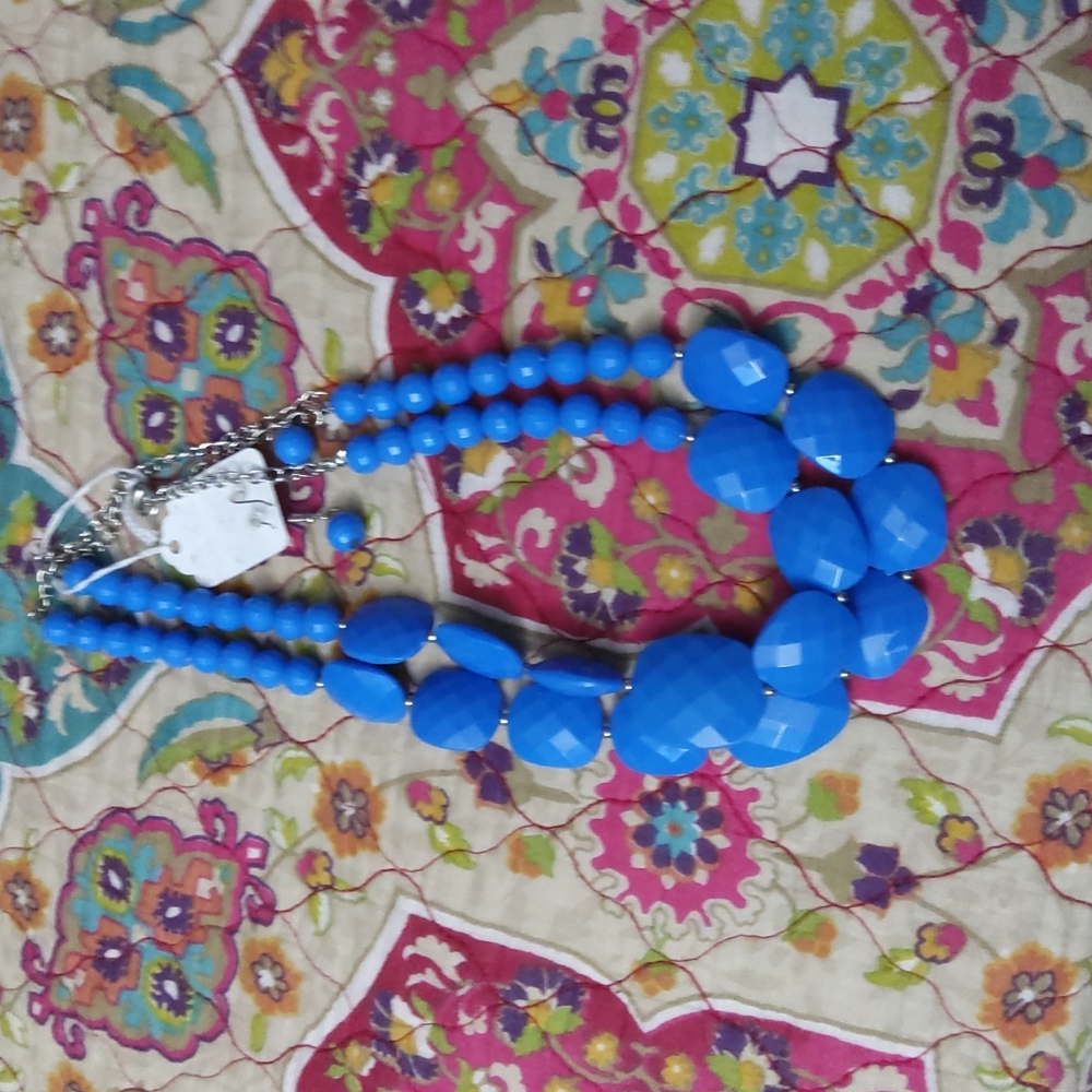 BLUE NWOT MATCHING EARRINGS
